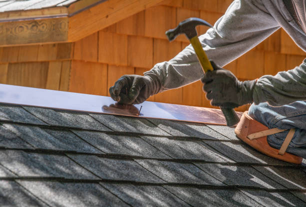 Best Metal Roofing Installation  in Salida, CO