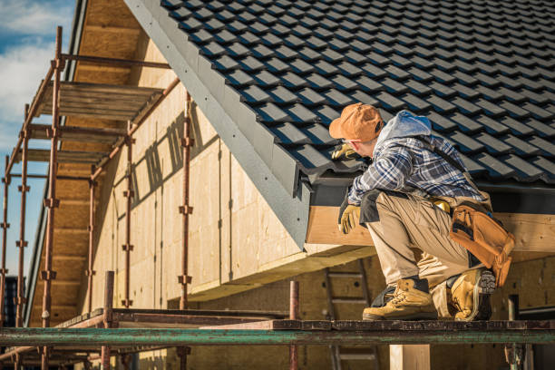 Best Roof Moss and Algae Removal  in Salida, CO