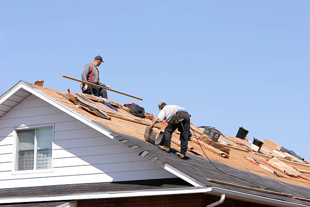 Best Asphalt Shingle Roofing  in Salida, CO